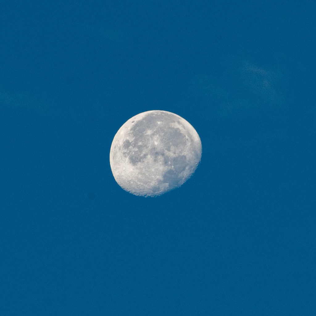 \"Moon\"